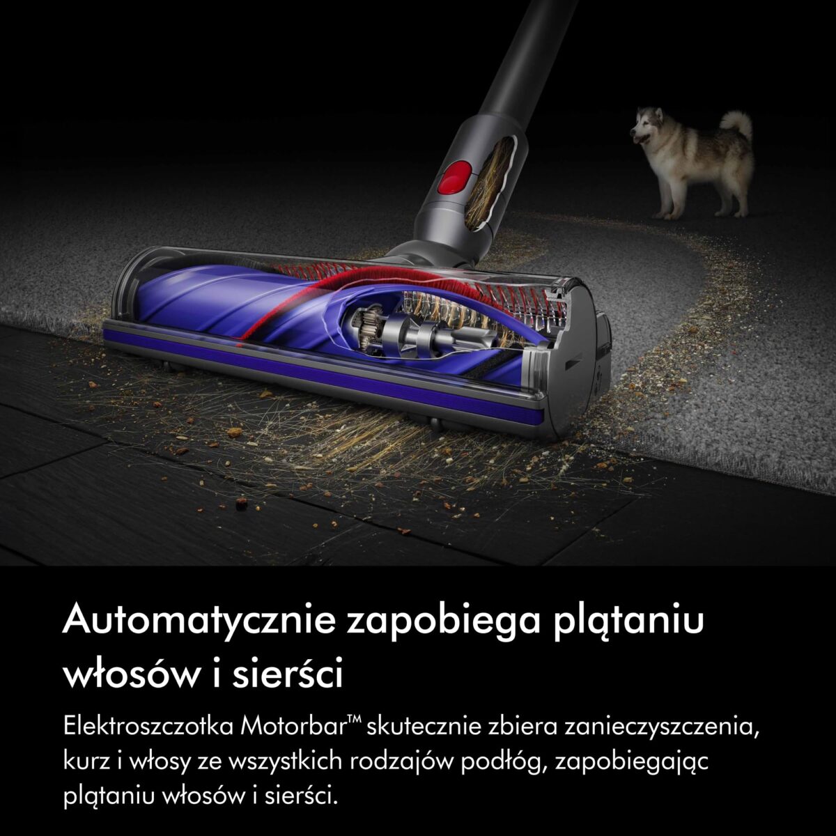 Dyson V8™ Advanced – Bezprzewodowy Odkurzacz Pionowy, Srebro/Nikiel, Wysoka Moc i Filtracja - obrazek 2